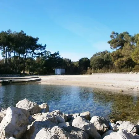 Lovely Malina Close To The *