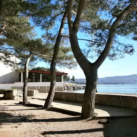 Lovely Malina Close To The Krk Town