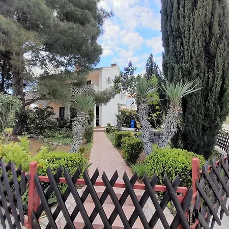 Lovely Malina Close To The Krk Town